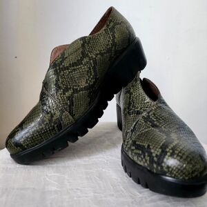 Wondersfly size 40 green snake texture shoe